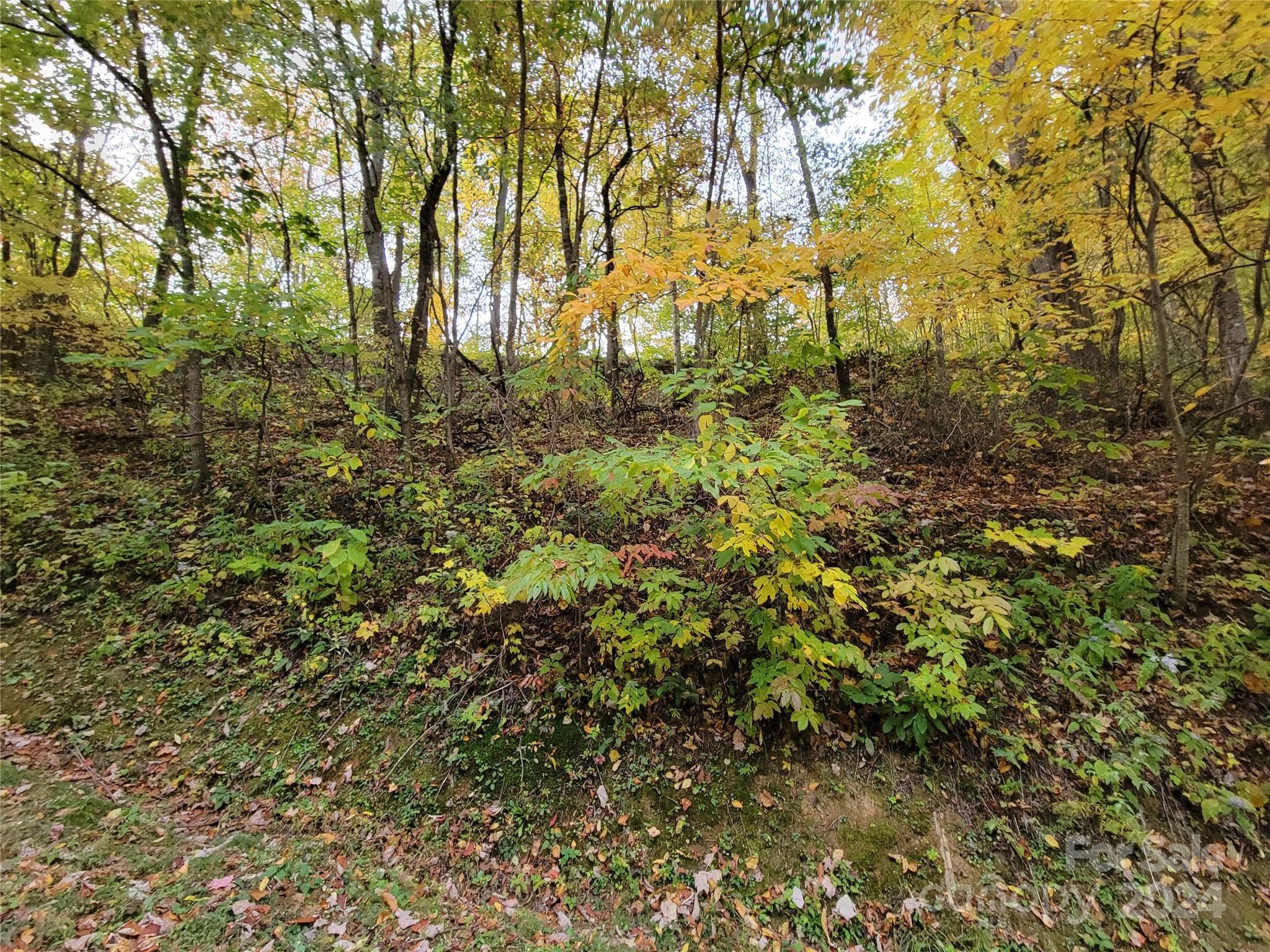Image 4 Image 4