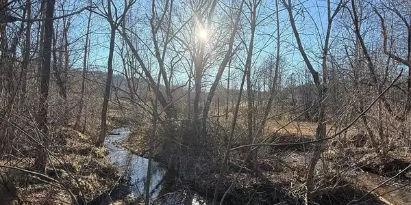 Image 3 Image 3