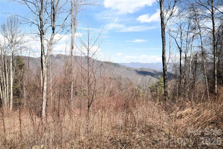 000 Curry Comb Trail