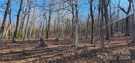 Lot 71 Serpentine Drive