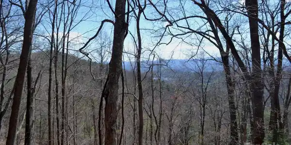 Lot 9 Town Mountain Road