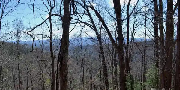 Image 4 Image 4