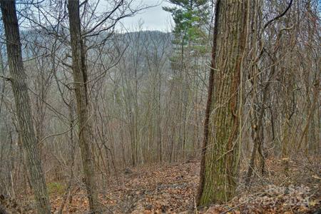390 Vance Gap Road