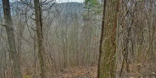 390 Vance Gap Road