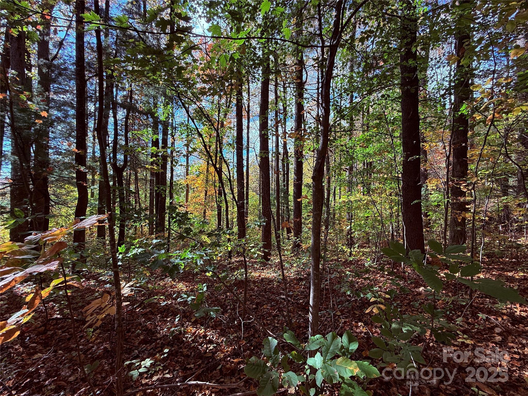 Image 4 Image 4