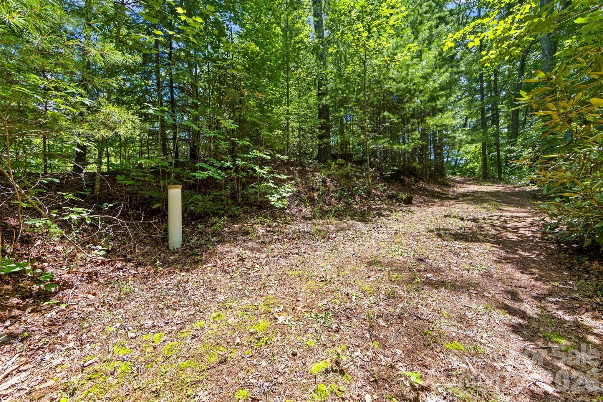 Image 4 Image 4