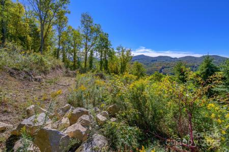 Lot 26 Silver Fox Lane