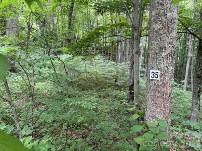 Lot 35 Odalu Trail