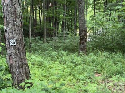 Lot 36 Odalu Trail