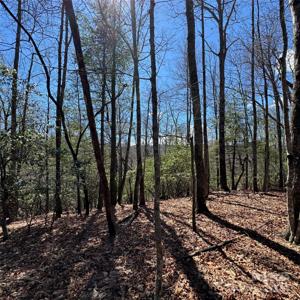 Tract 32-B Kentwood Lane