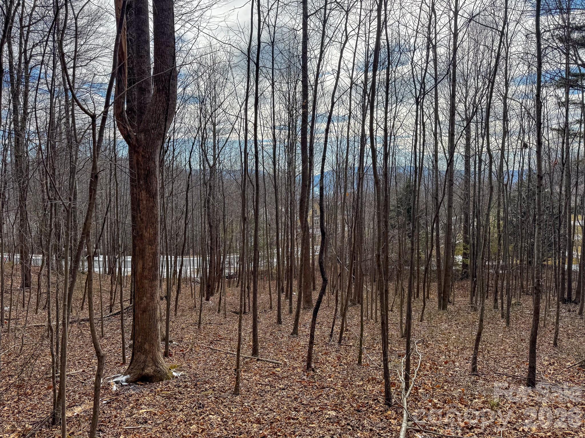 Image 1 Image 1