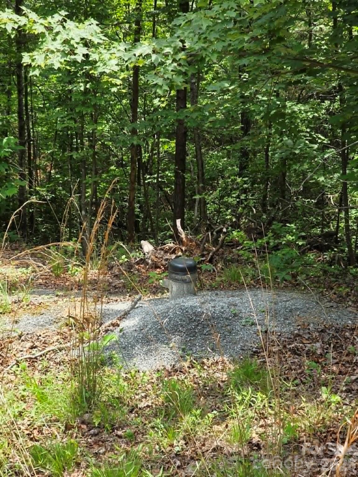 Image 3 Image 3