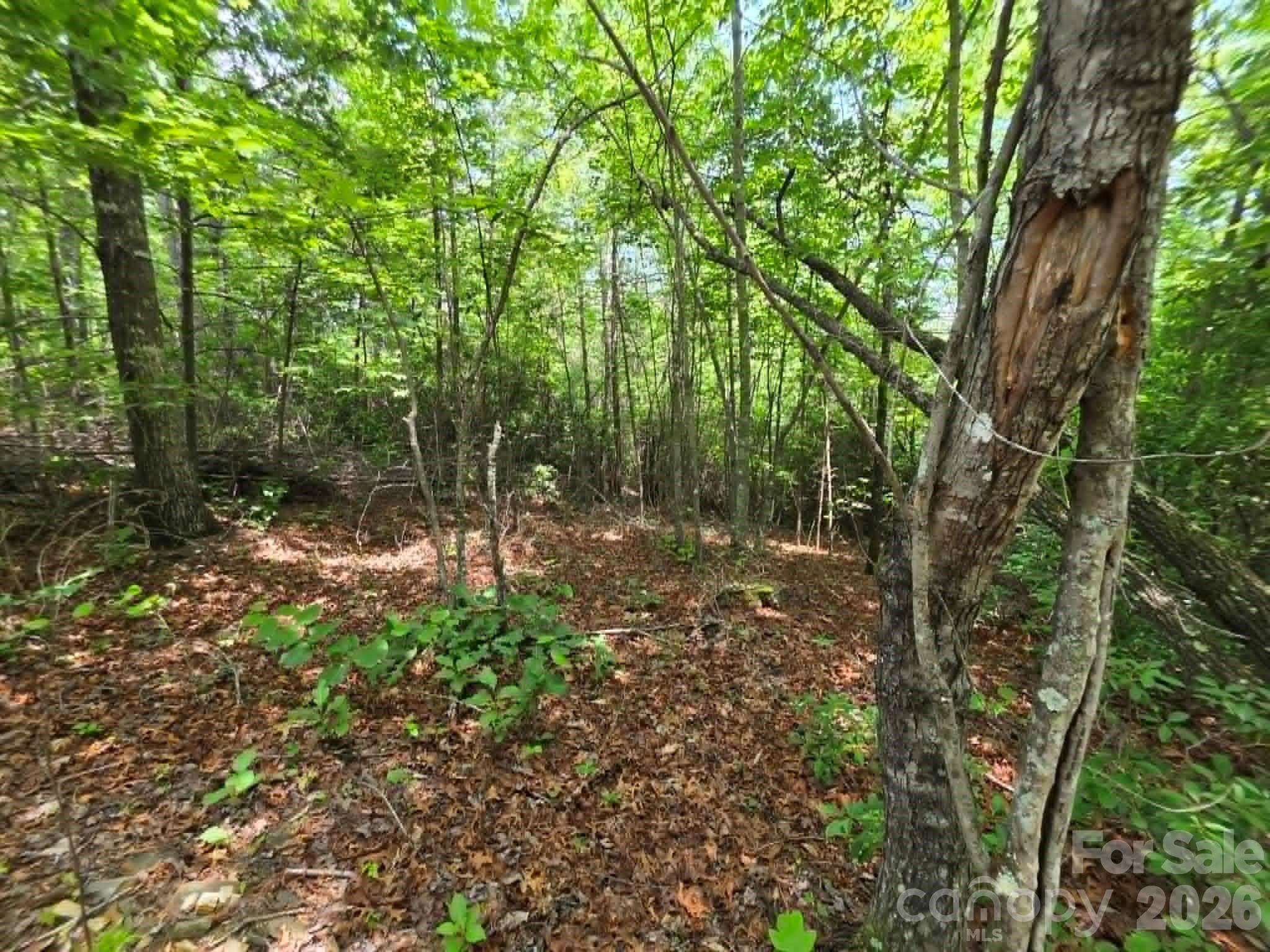 Image 4 Image 4