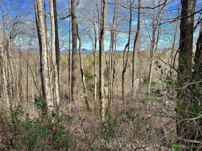 174 High Road Overlook