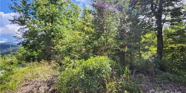 53 Autumn View Drive