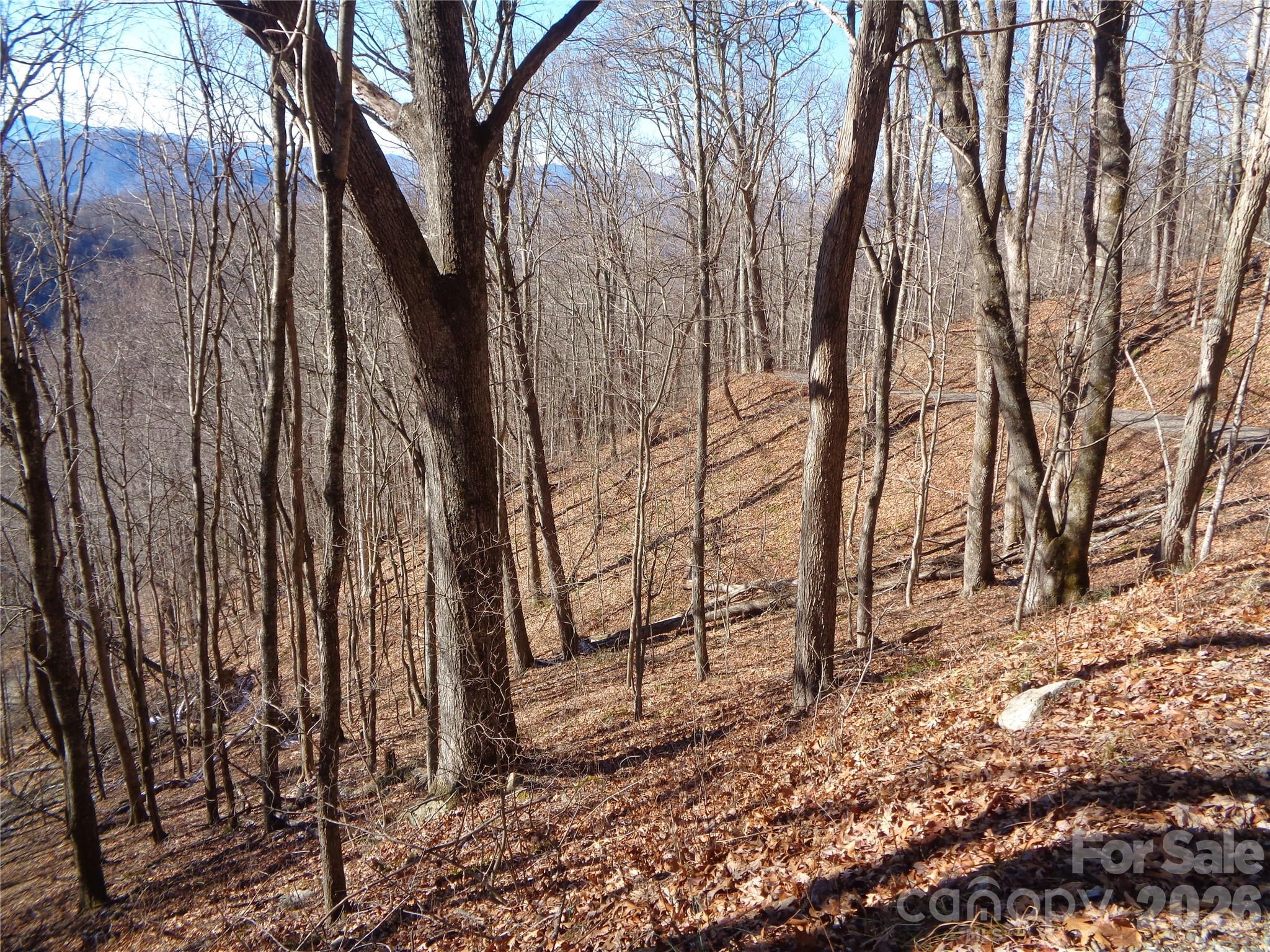 Image 3 Image 3