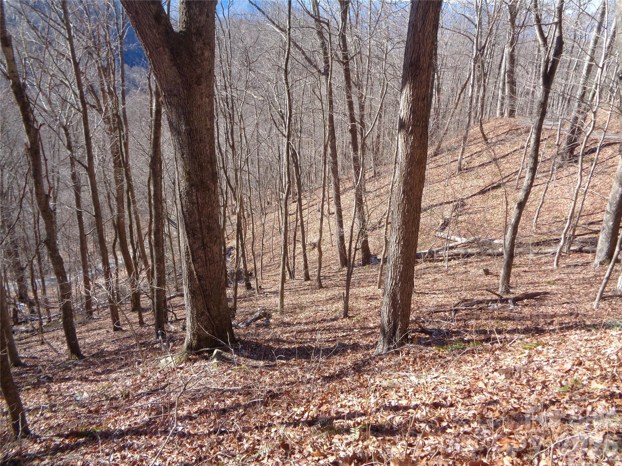 Image 4 Image 4