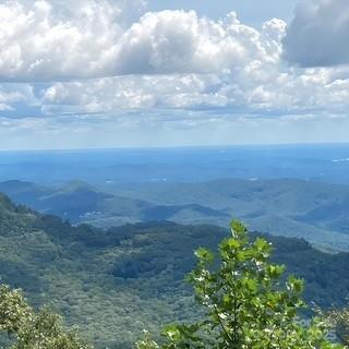 Image 1 Image 1