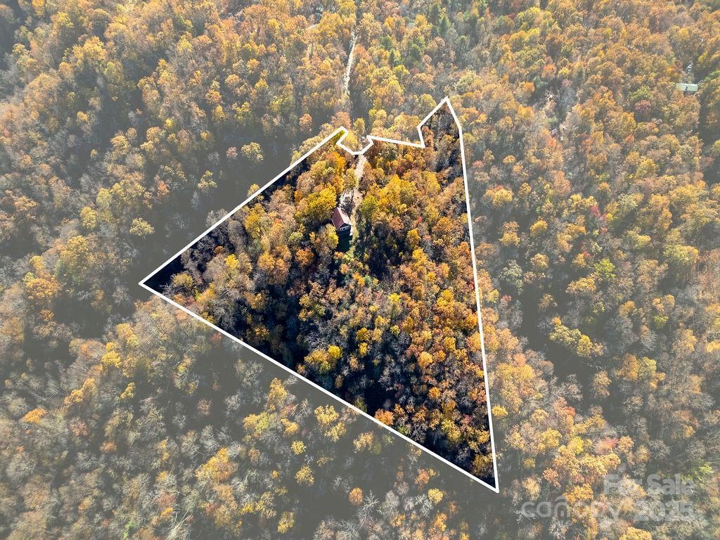 Image 3 Image 3