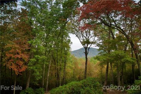105 Misty Valley Parkway