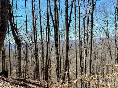 Lot 15 Red Wolf Run