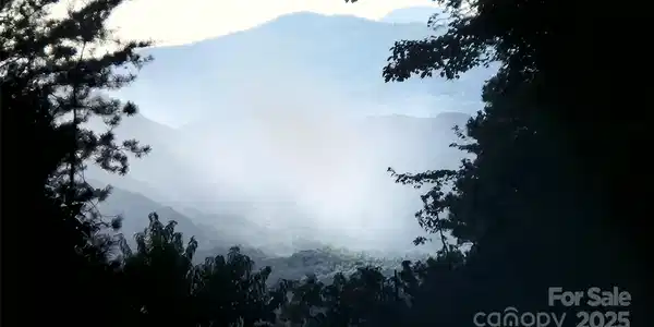 Image 3 Image 3