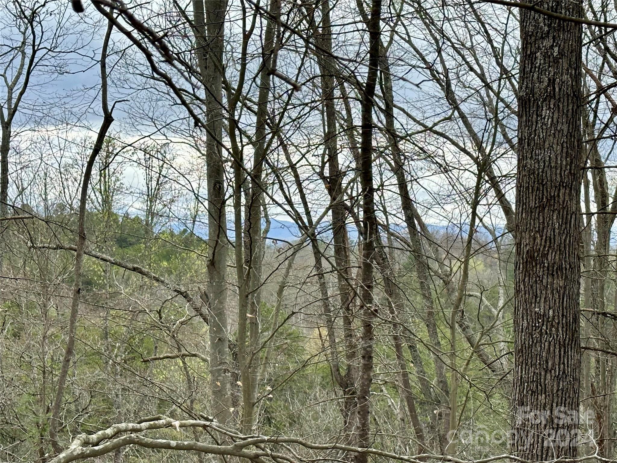 Image 4 Image 4