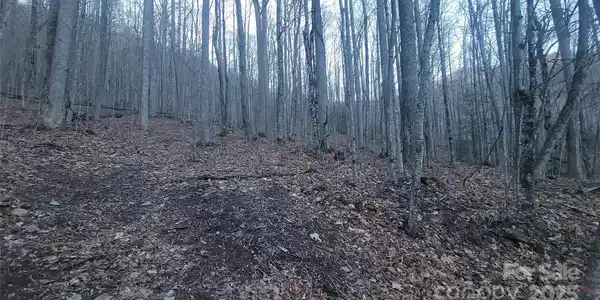 Image 3 Image 3