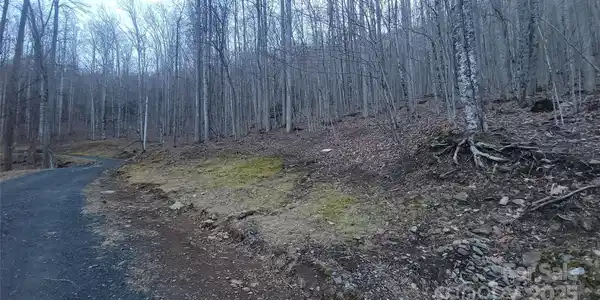 Image 4 Image 4