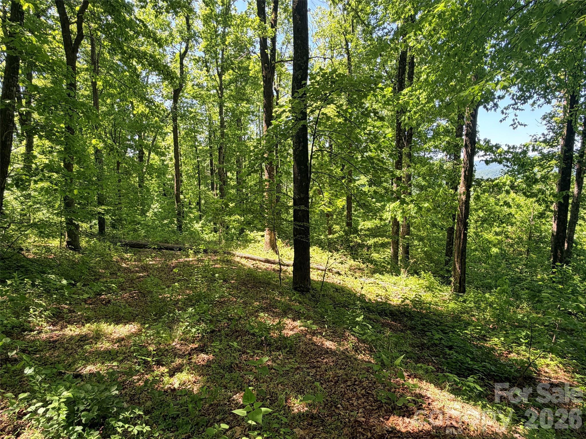 Image 4 Image 4
