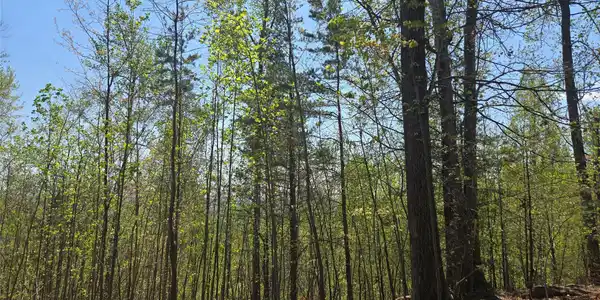 Image 2 Image 2