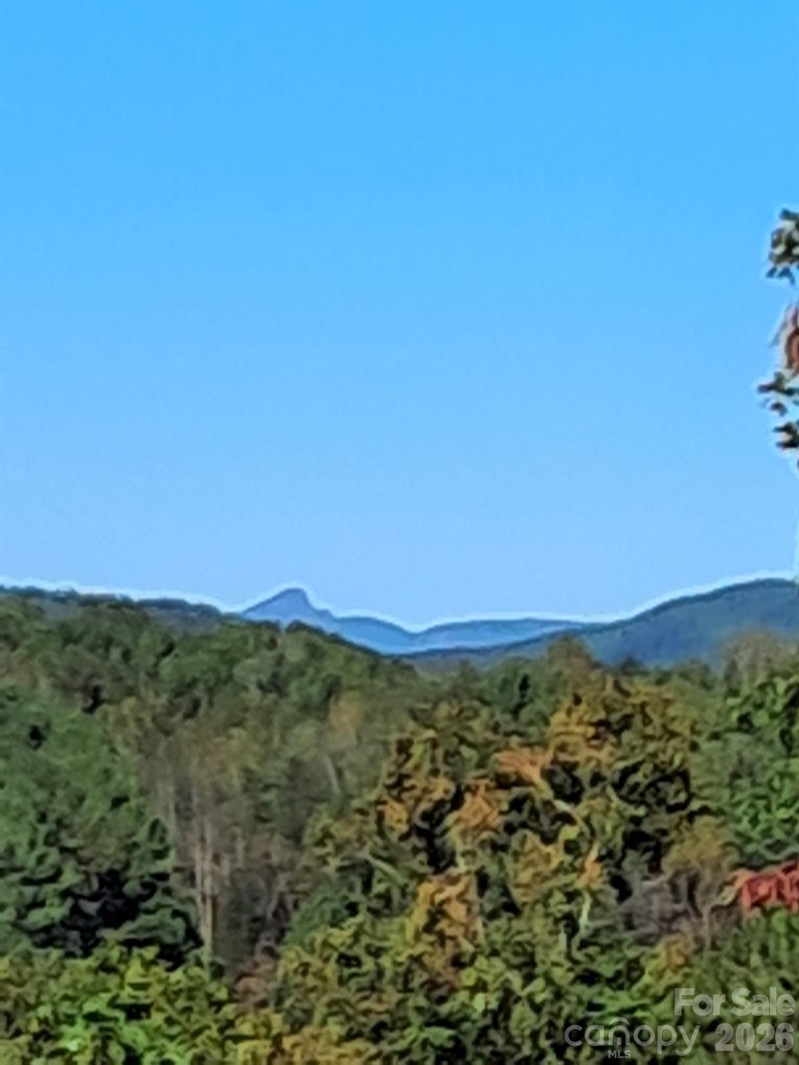 Image 3 Image 3