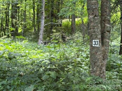 Lot 33 Toi Trail