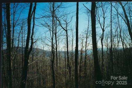Lot #35 Damselfly Court