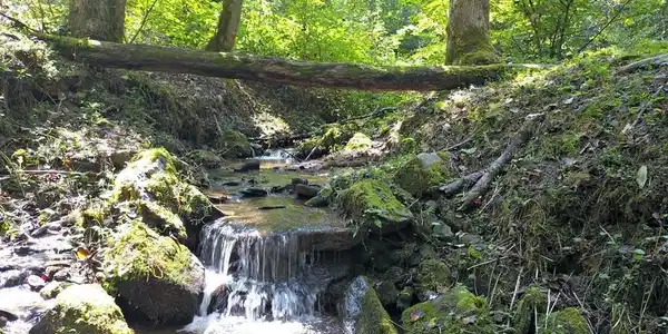 Image 3 Image 3