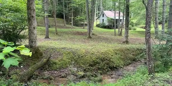 Image 4 Image 4