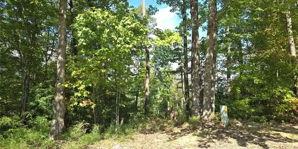 Image 4 Image 4