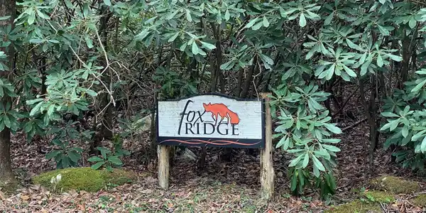 Image 4 Image 4