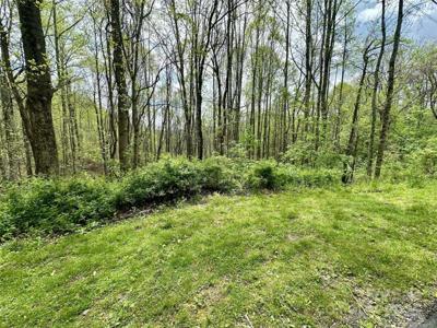 1 Deer Creek Trail