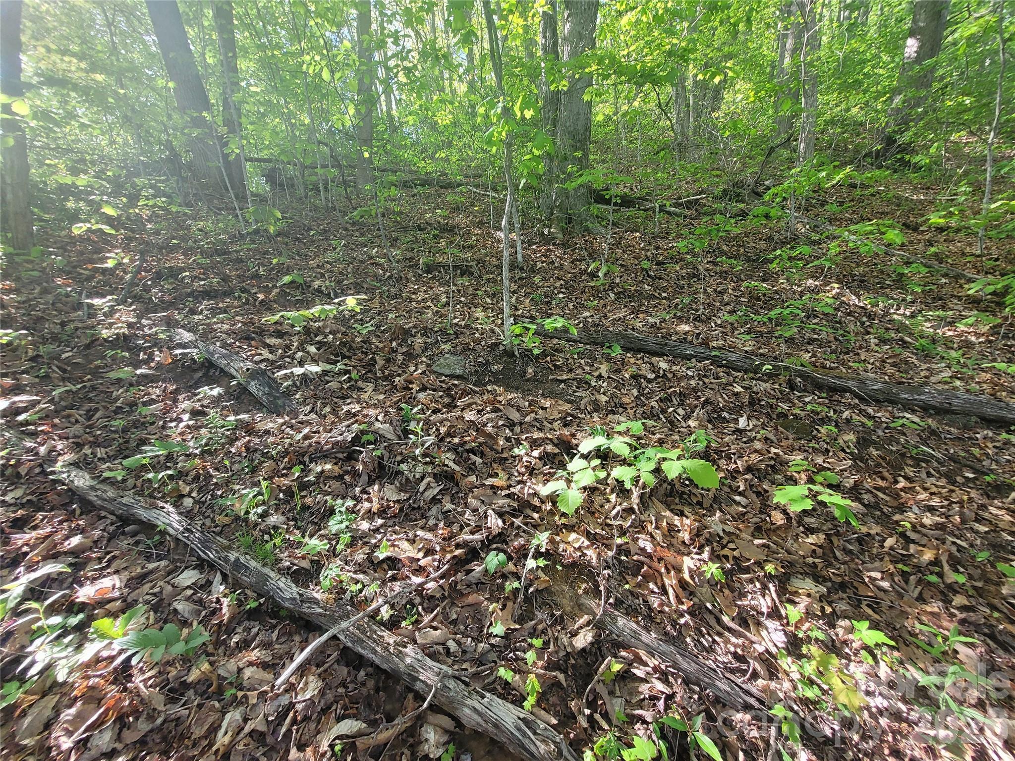 Image 3 Image 3