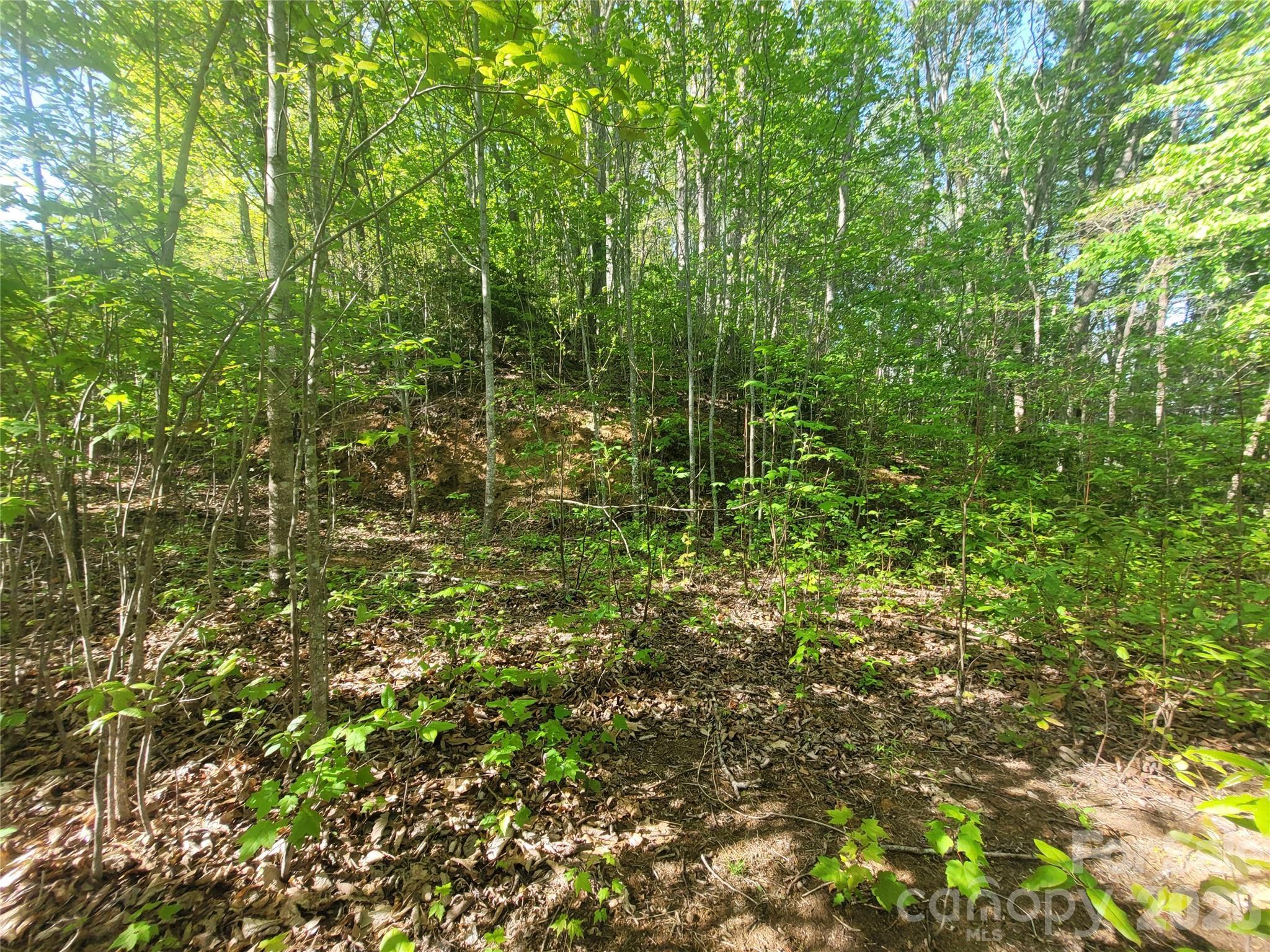 Image 4 Image 4