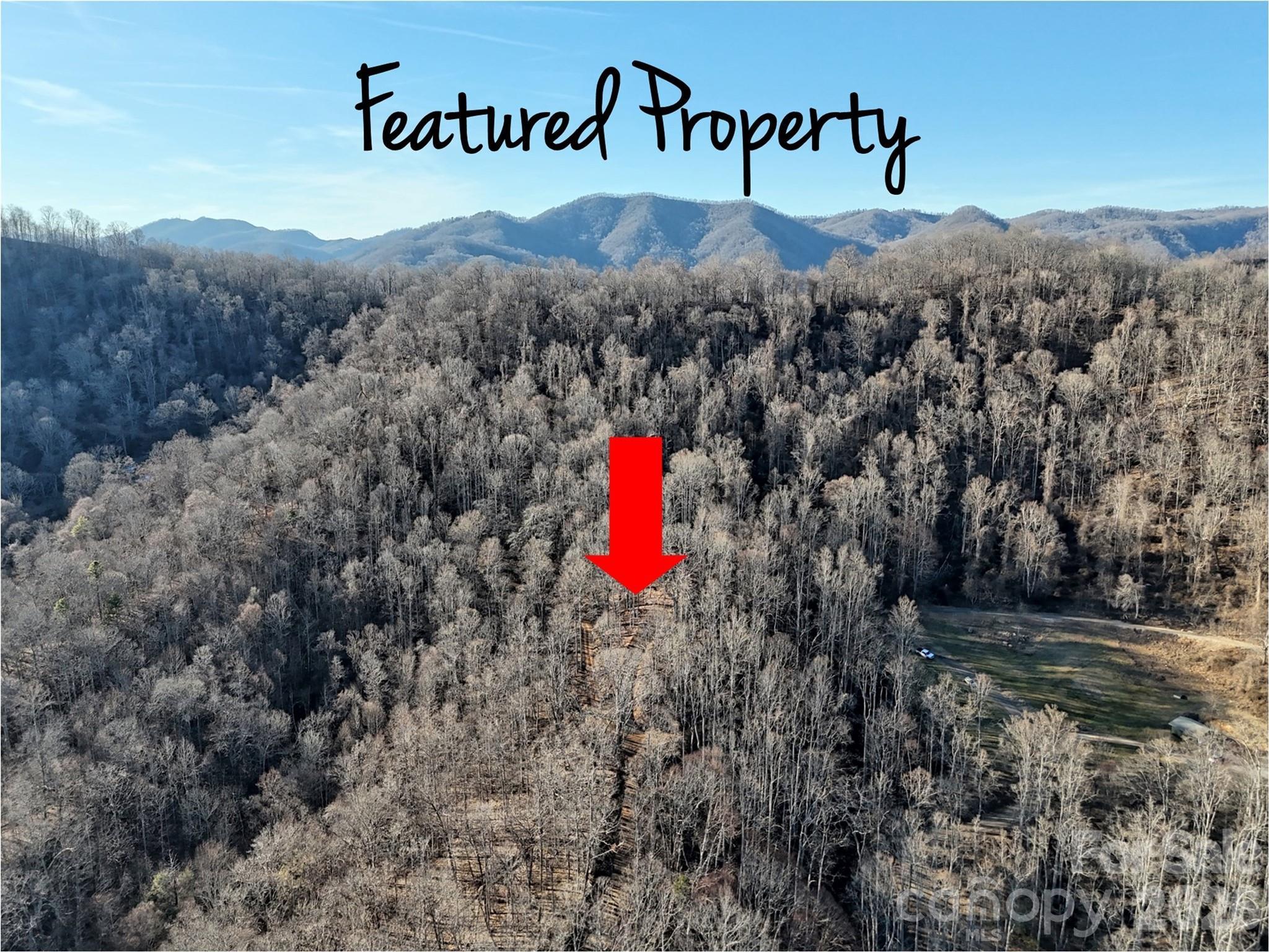 Image 4 Image 4