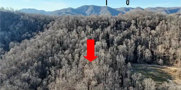 Image 4 Image 4