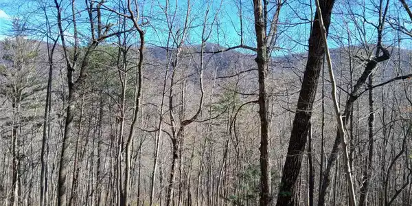 00 Piney Gate Road