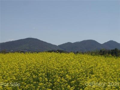 XXXX Bear Creek Road