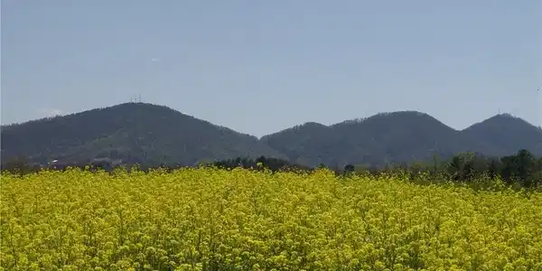 XXXX Bear Creek Road