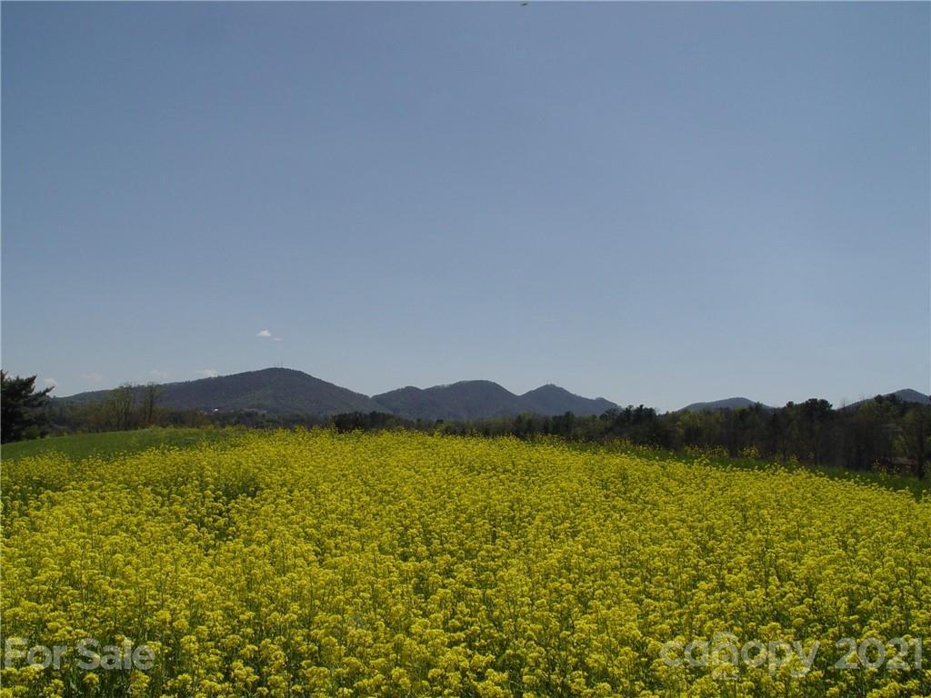 Image 3 Image 3