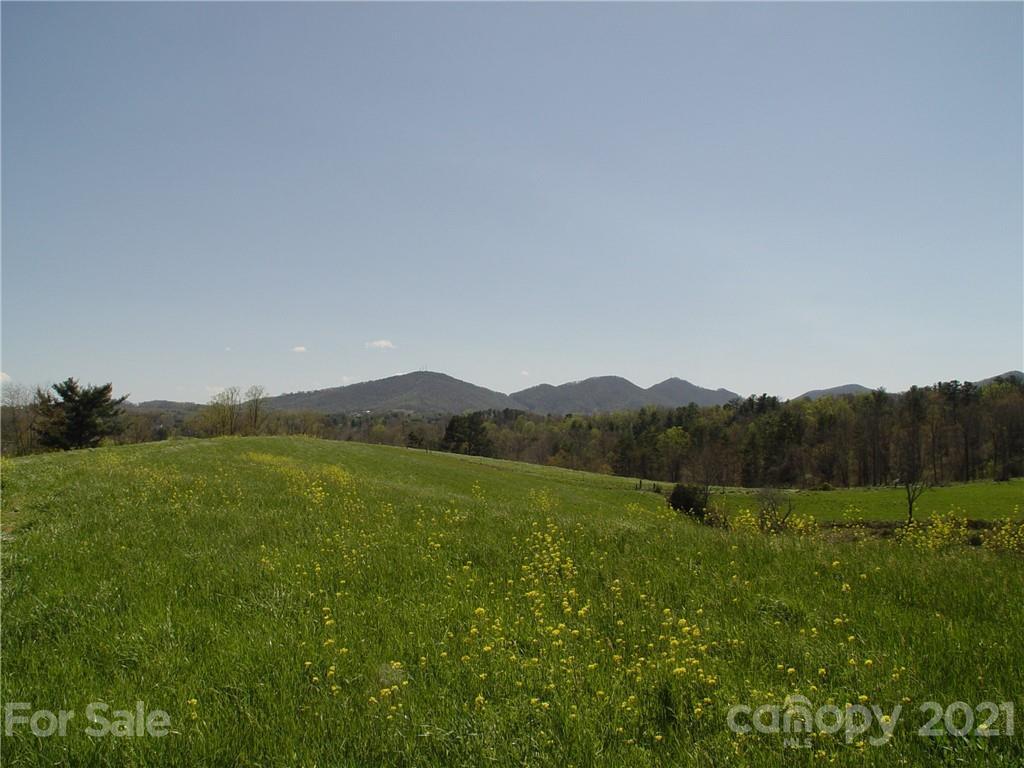 Image 4 Image 4
