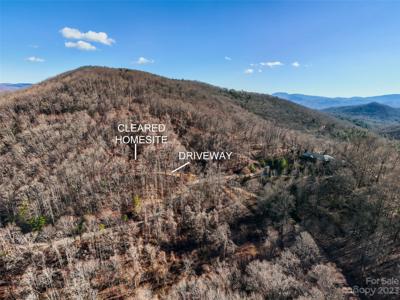 64 Flora Rose Trail