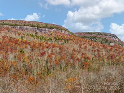TBD Cold Mountain Road